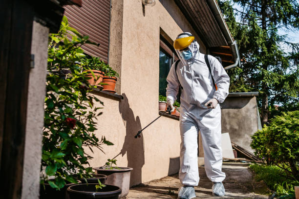 Best Local Pest Control Services  in Evart, MI