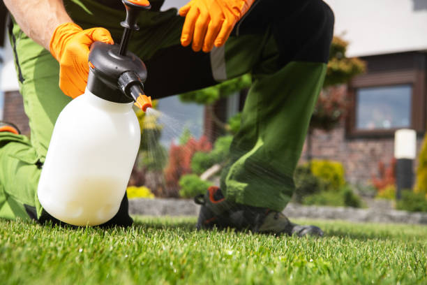 Bird Control in Evart, MI