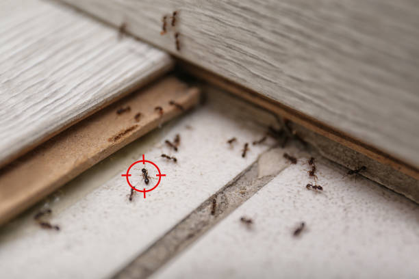 Best Commercial Pest Control Services  in Evart, MI
