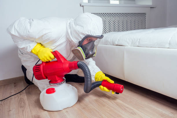 Best Rat Extermination Near Me  in Evart, MI