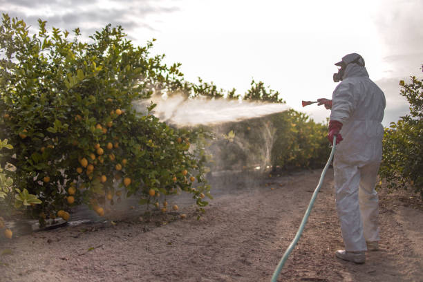 Best Mosquito Control Services  in Evart, MI