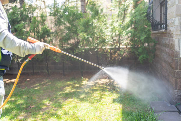 Best Pest Inspection Near Me  in Evart, MI