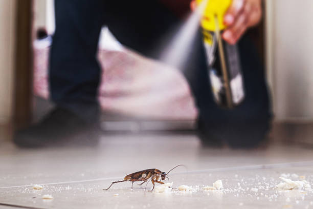 Best Best Pest Control Companies  in Evart, MI