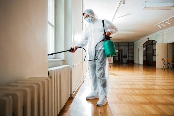 Flea Control Services in Evart, MI