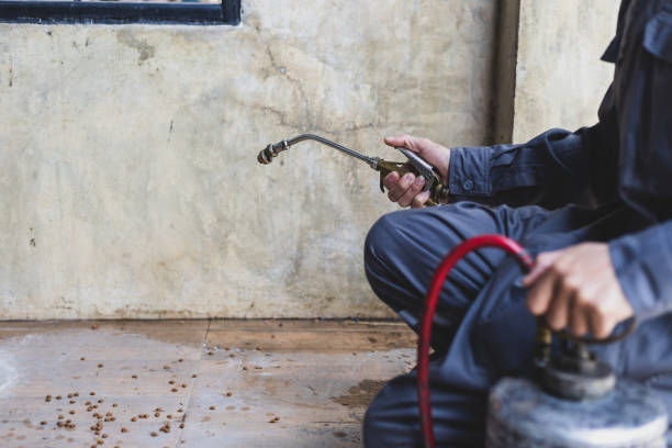 Best Pest Removal Services  in Evart, MI